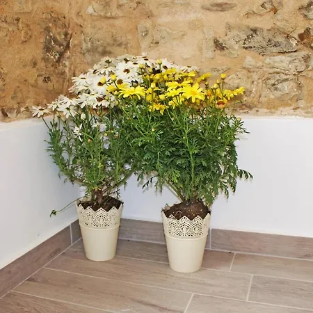 Maria's , 50 Meters From Beach , Renovated Apartment *